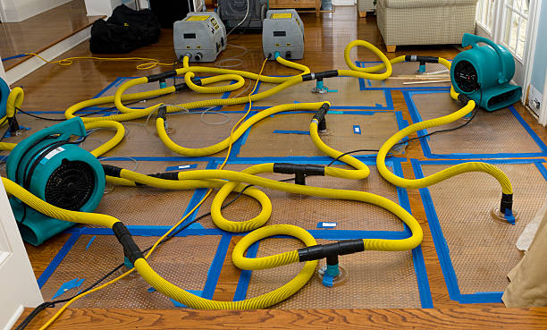 Professional Storm Water Damage Restoration technician working in Roselle, NJ